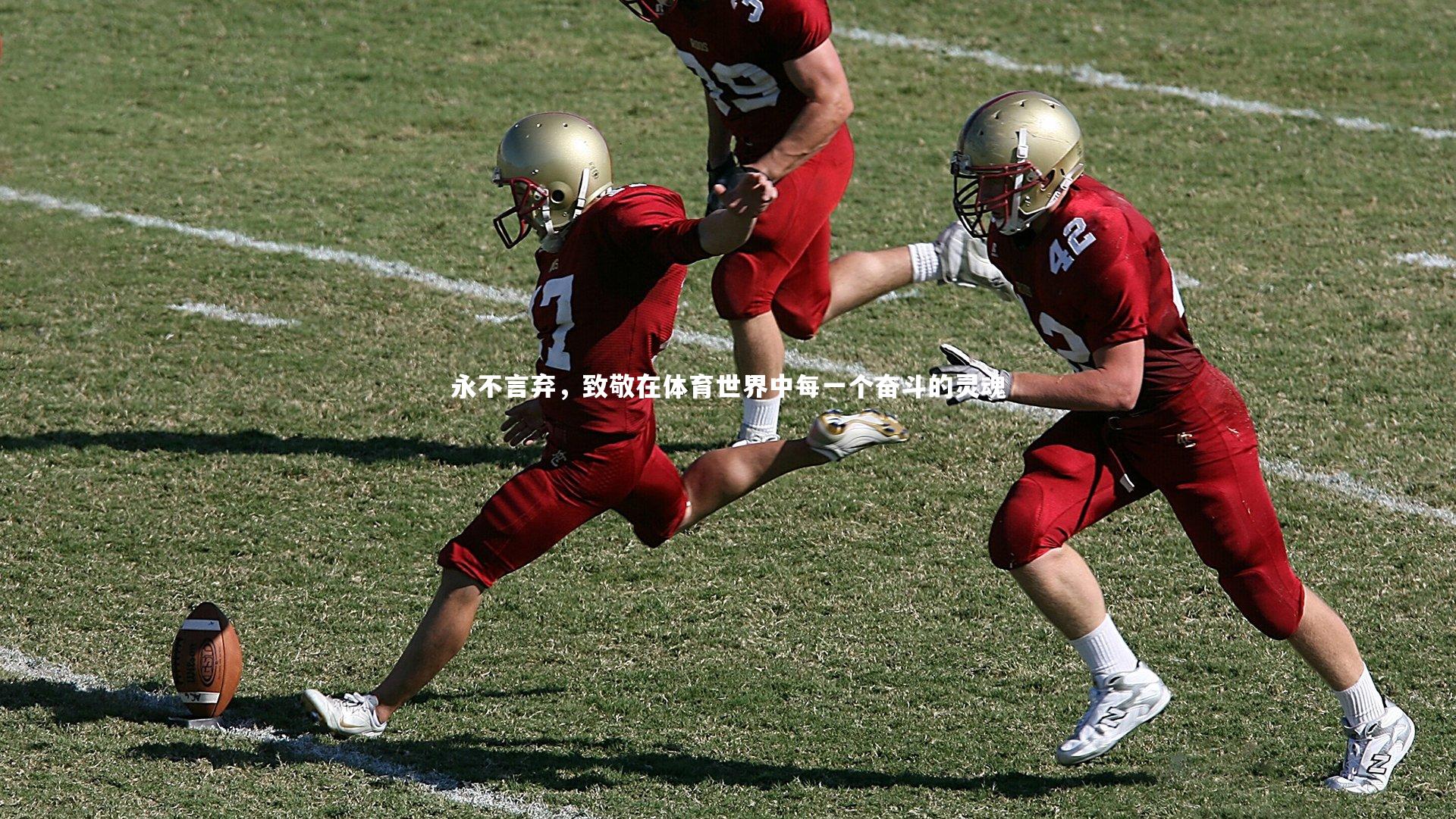 永不言弃，致敬在体育世界中每一个奋斗的灵魂